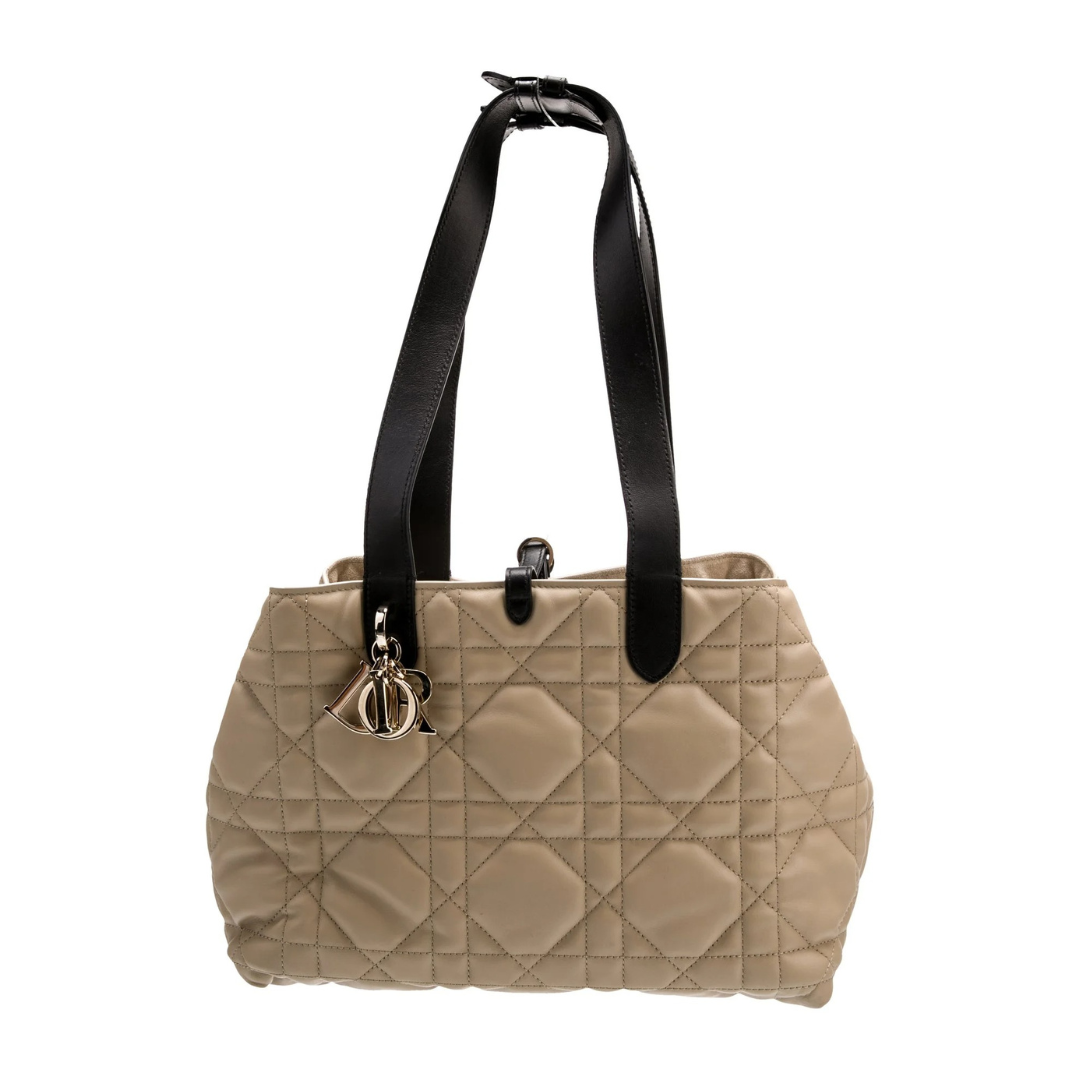 DIOR SIEMPRE KLEIN CARTERA