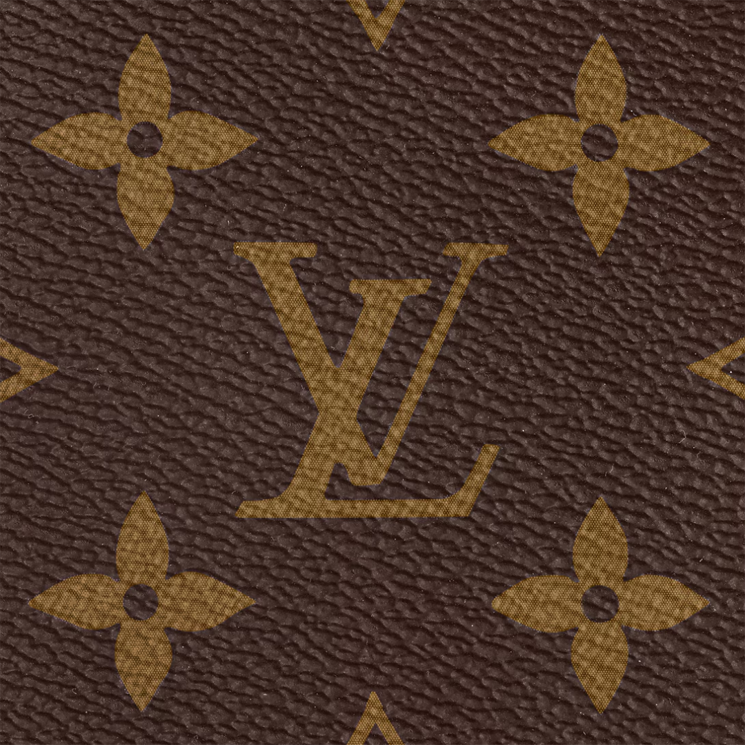 ACCESORIOS MULTI-CARTERA LOUIS VUITTON