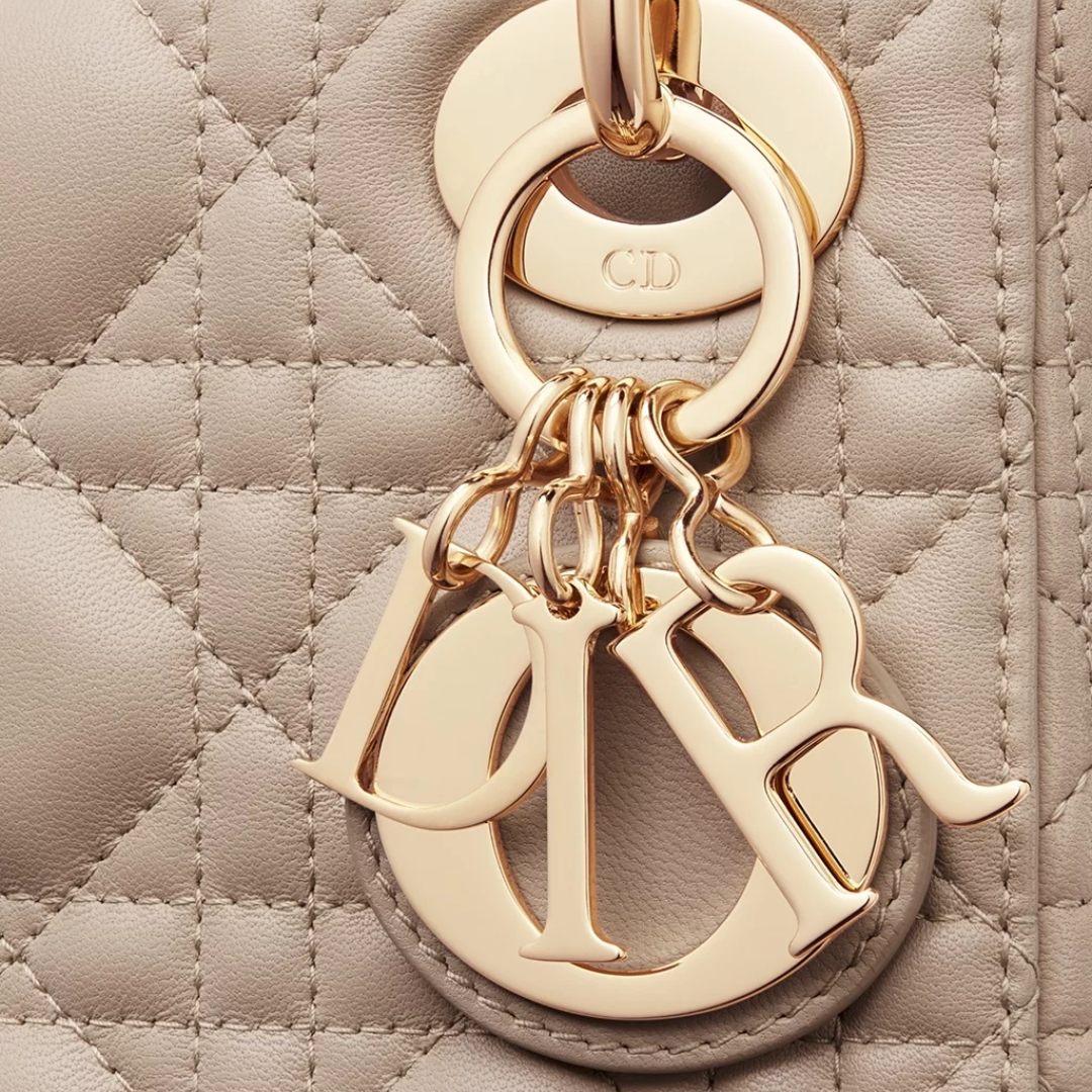 CARTERA MINI LADY DIOR