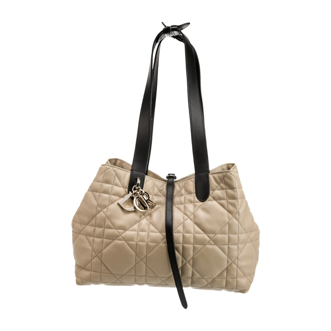 DIOR SIEMPRE KLEIN CARTERA