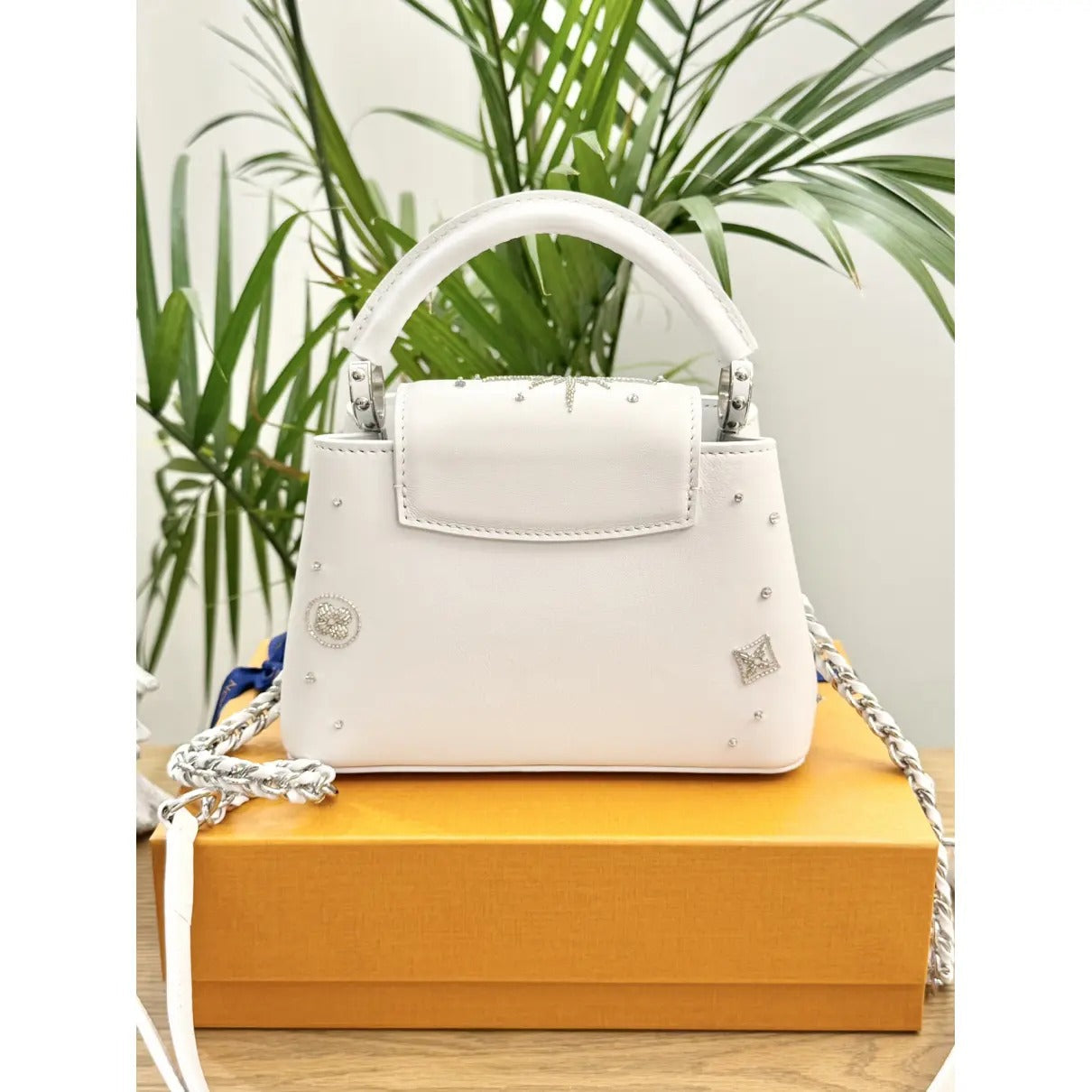 MINI CARTERA LOUIS VUITTON CAPUCINES